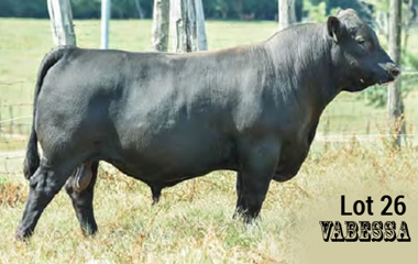 Lot 26 - TJB 914U VALERO 4122C ET